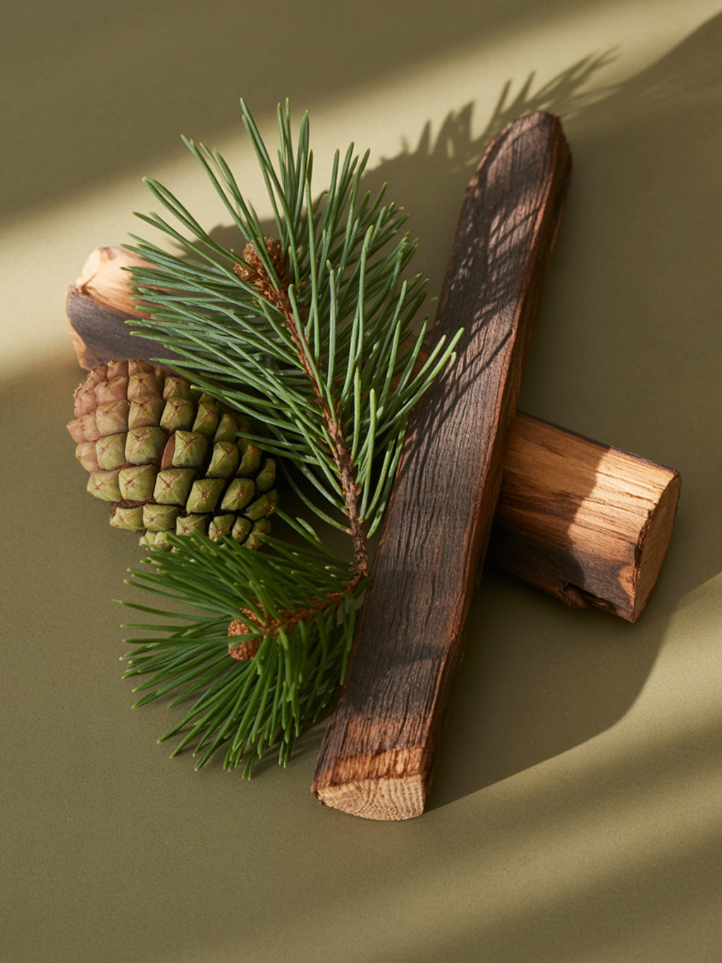 Pine
