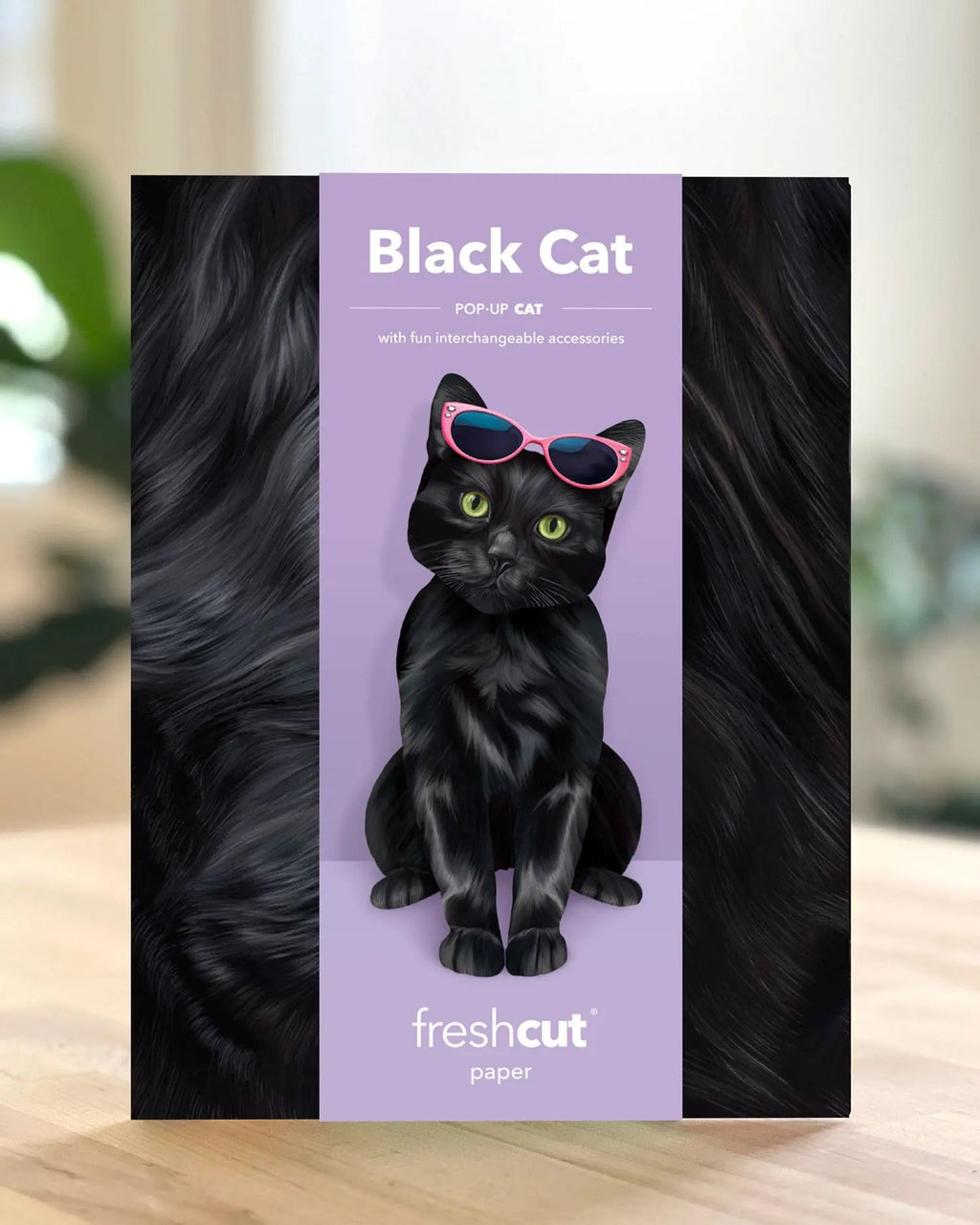 Black Cat