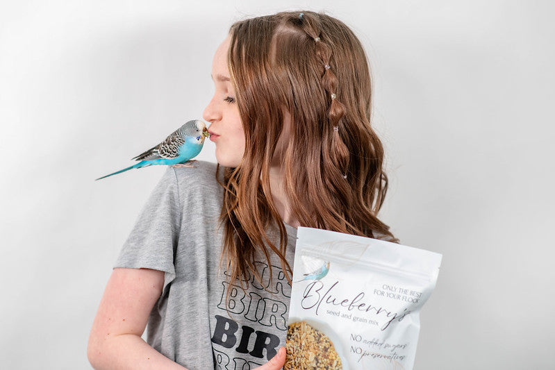 Blueberry's Seed & Grain Mix