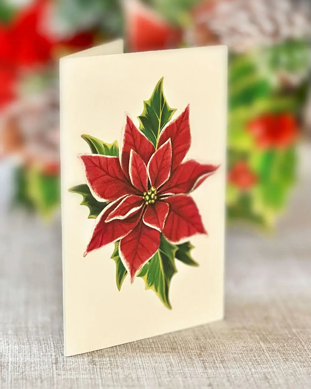 Birch Poinsettia