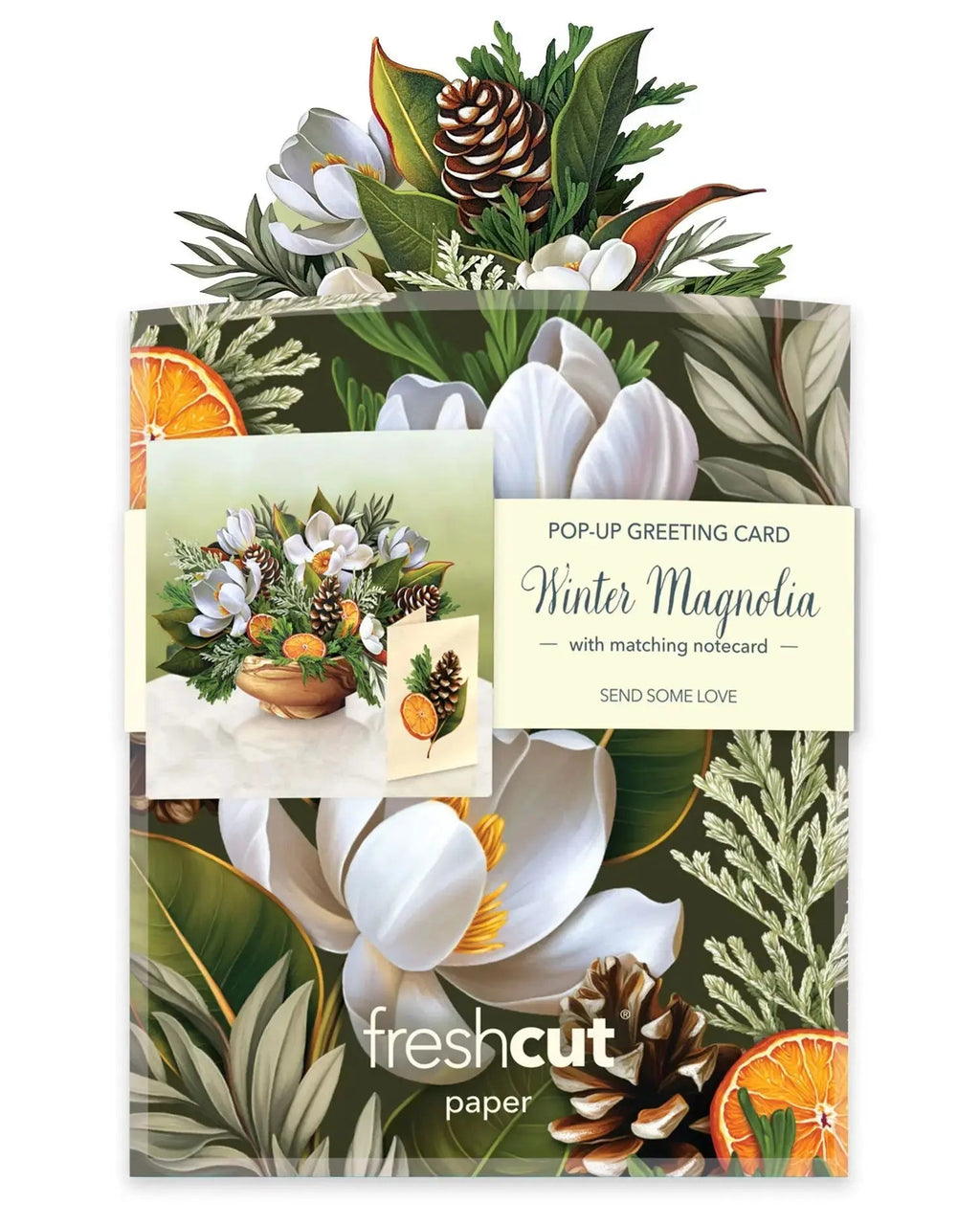 Mini Winter Magnolia
