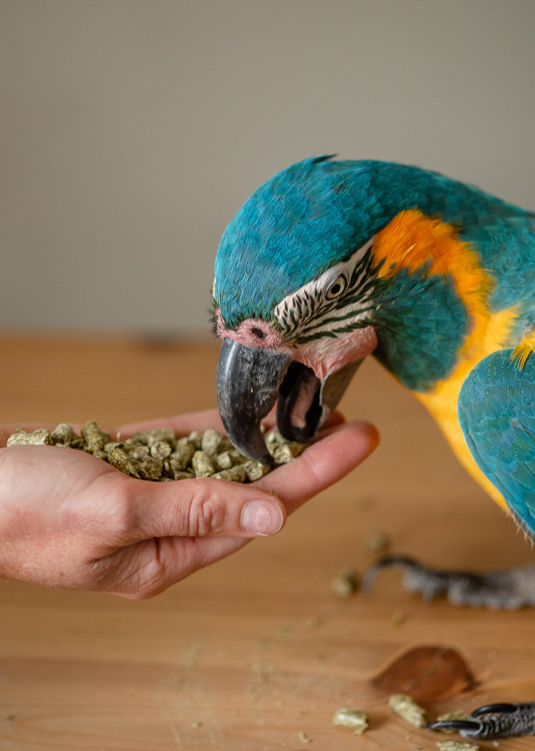Organic Parrot Pellets (25lbs)