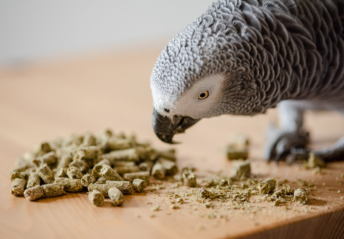 Organic Parrot Pellets (25lbs)