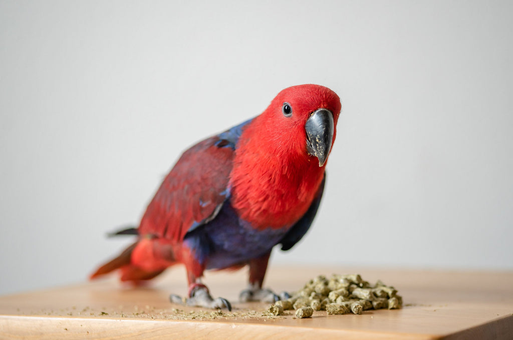 Organic Parrot Pellets (25lbs)