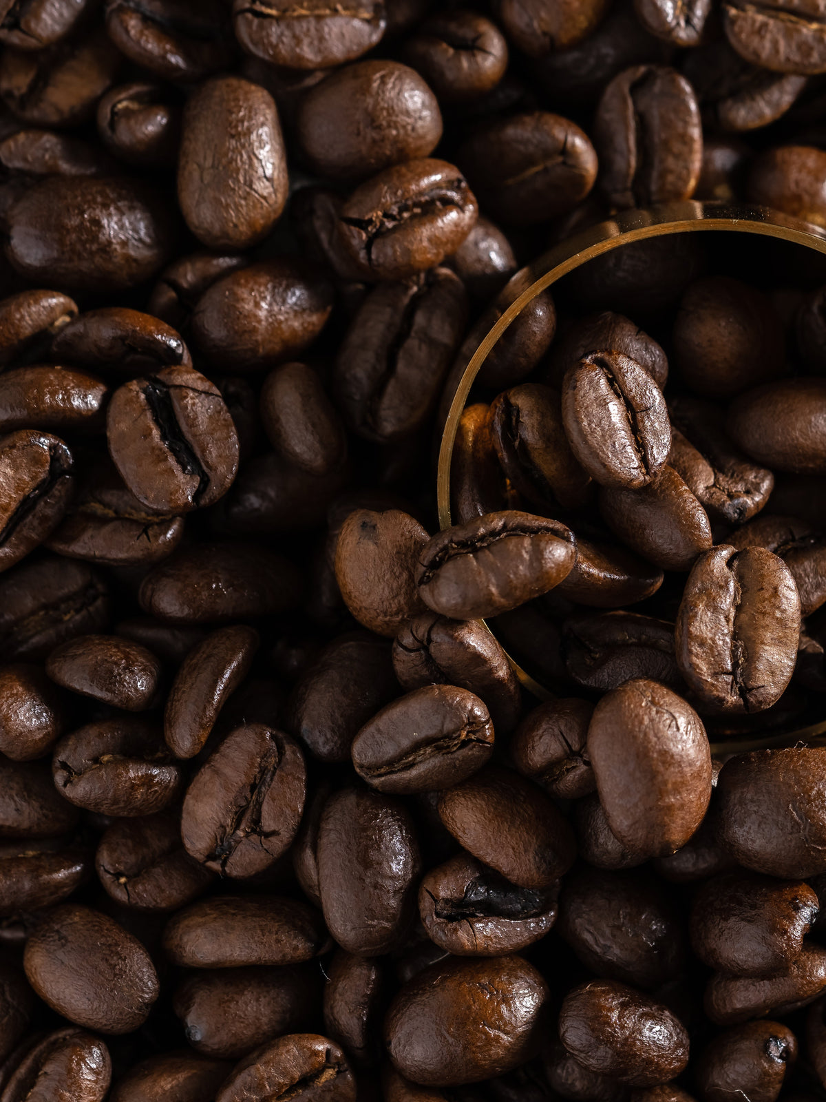Reverie Roast