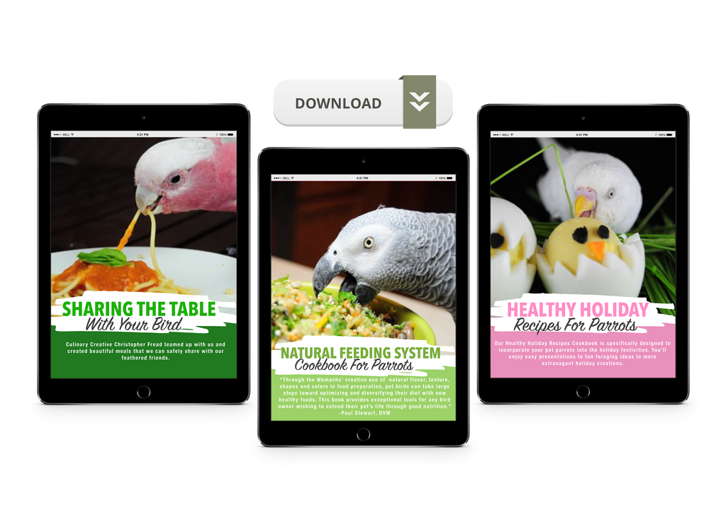Natural Feeding System (Digital Download)