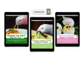 Natural Feeding System (Digital Download)