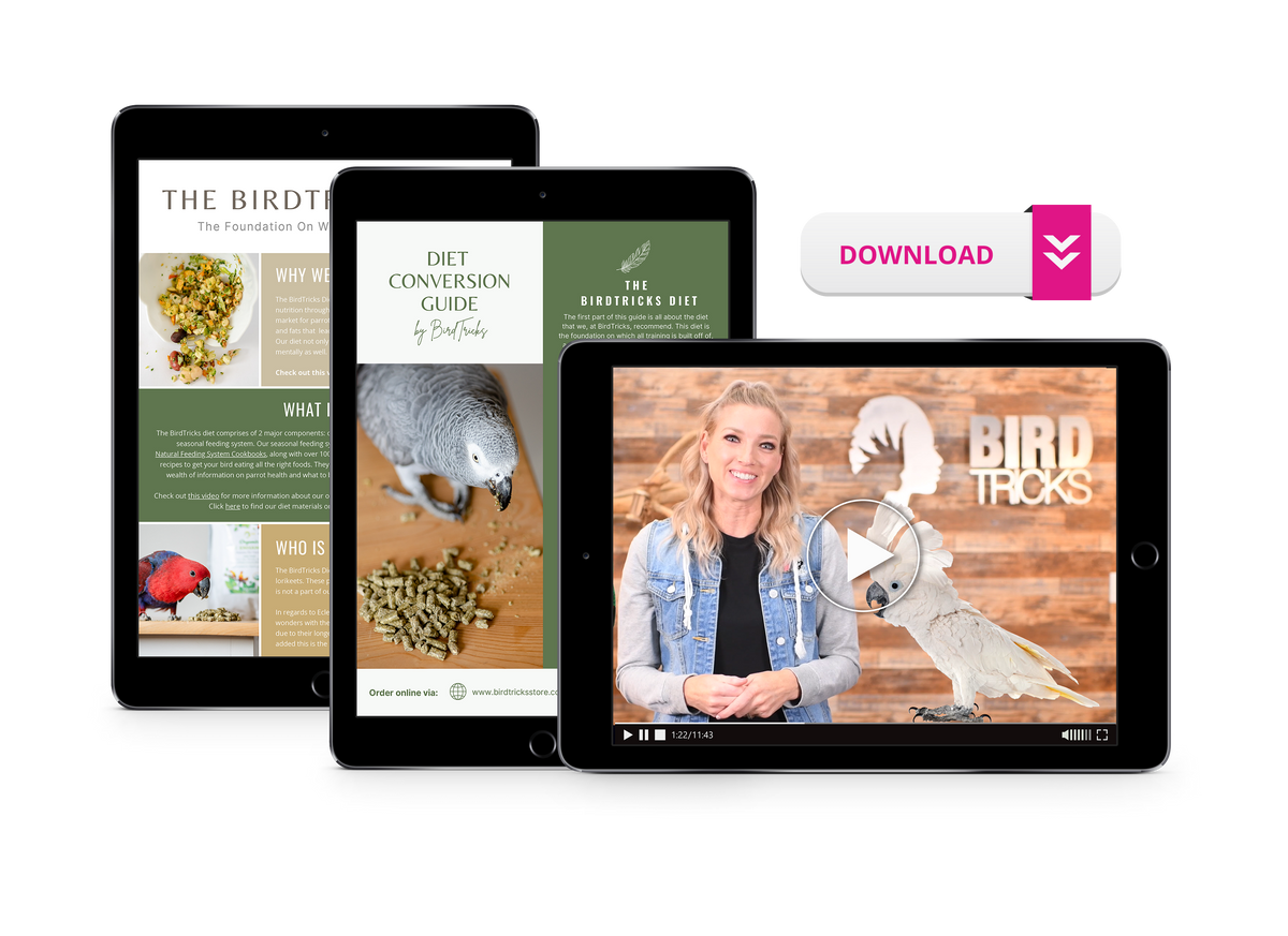 Diet Conversion Course