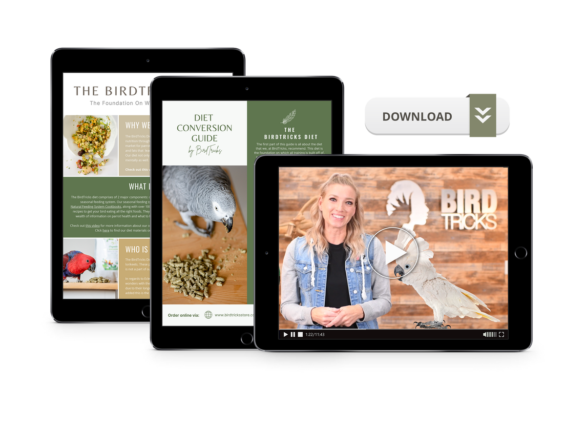 Diet Conversion Course