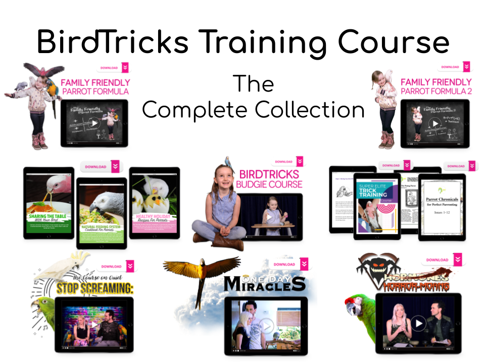 BirdTricks Training Course | The Complete Collection