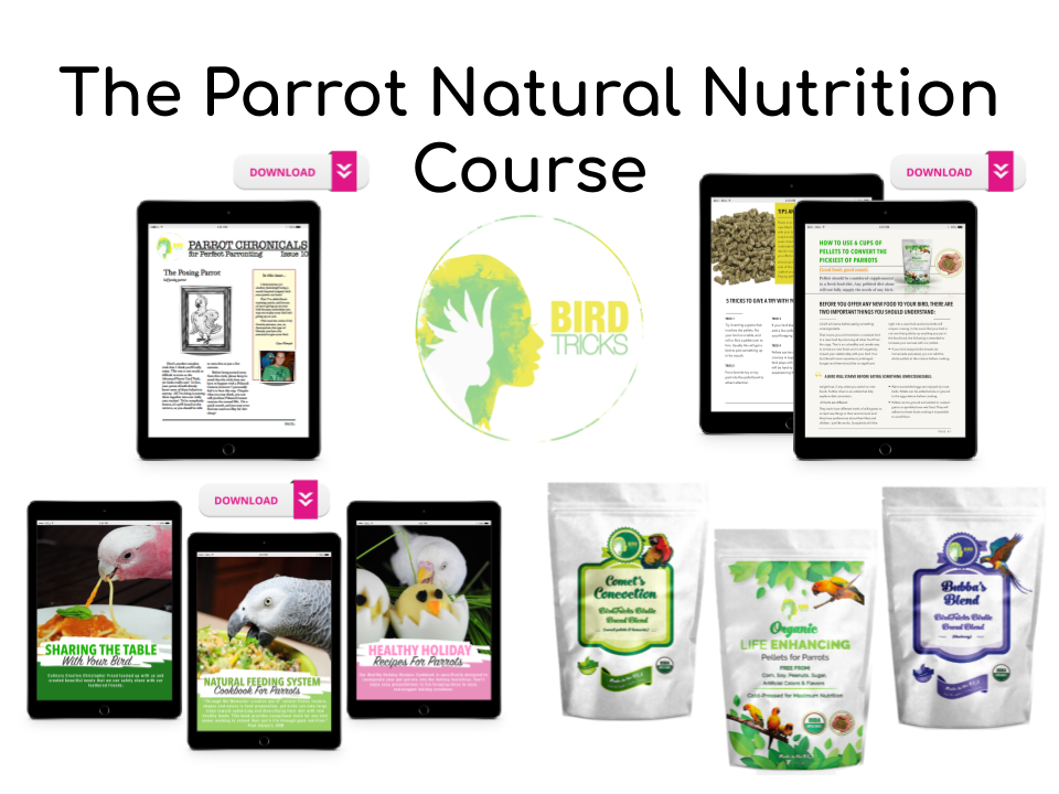 The Parrot Natural Nutrition Course