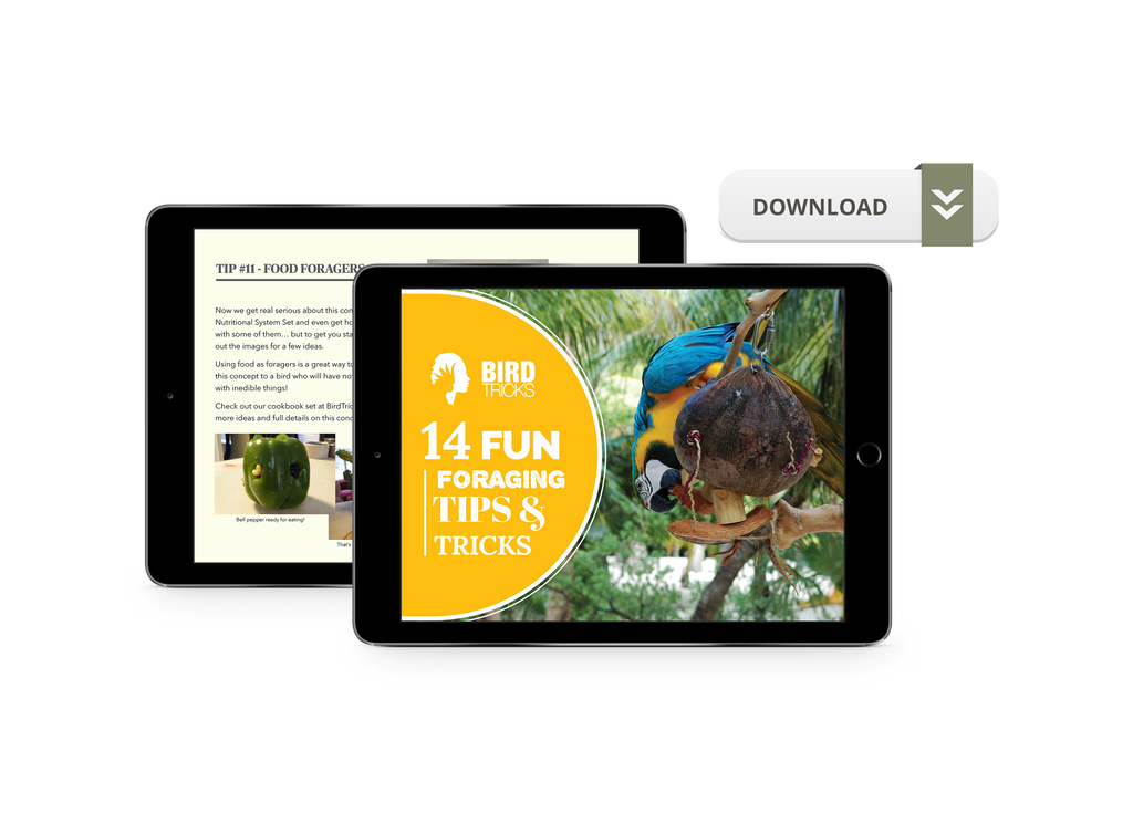 How to Forage: A Tips and Tricks Guide