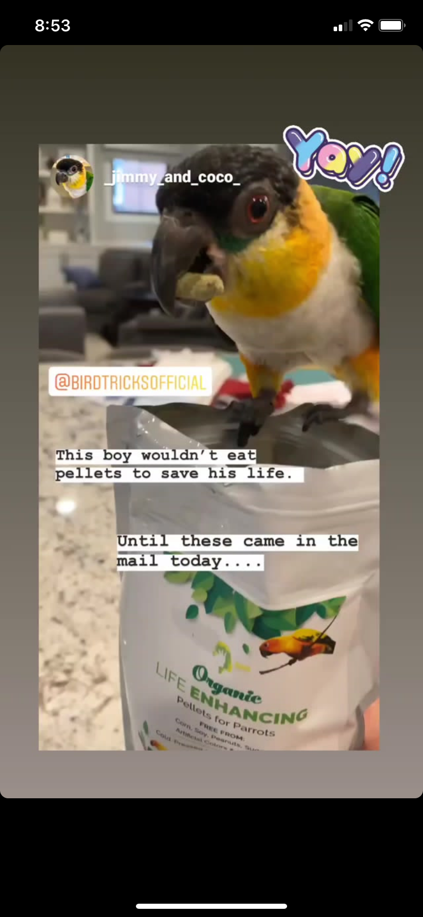 Organic Birdie Bread Bundles