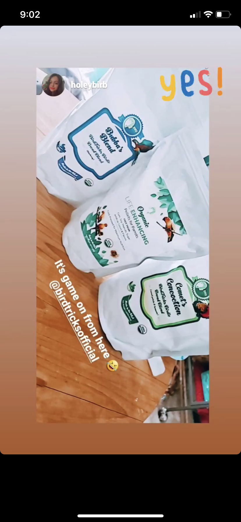 Organic Birdie Bread Bundles