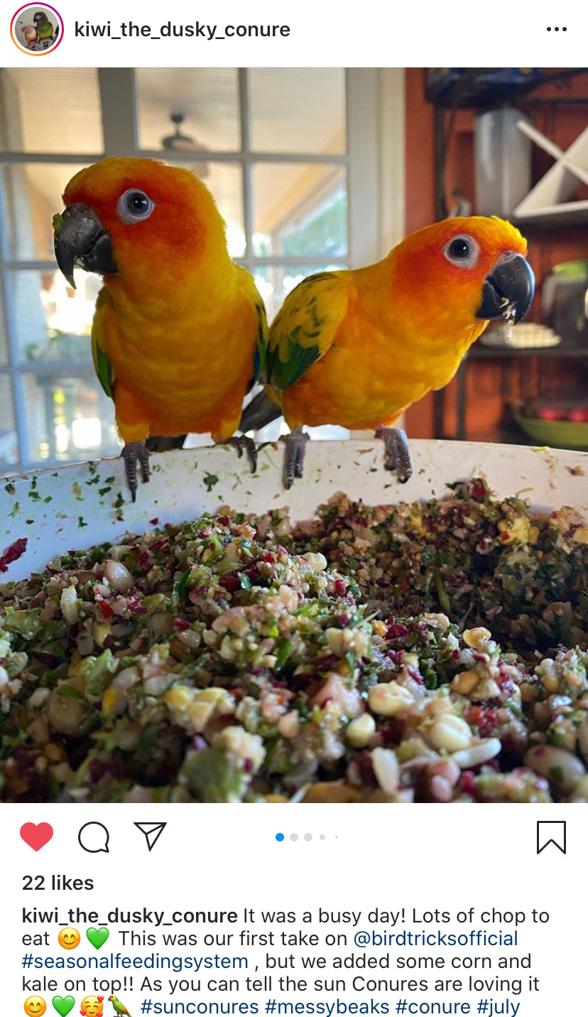 The Parrot Natural Nutrition Course