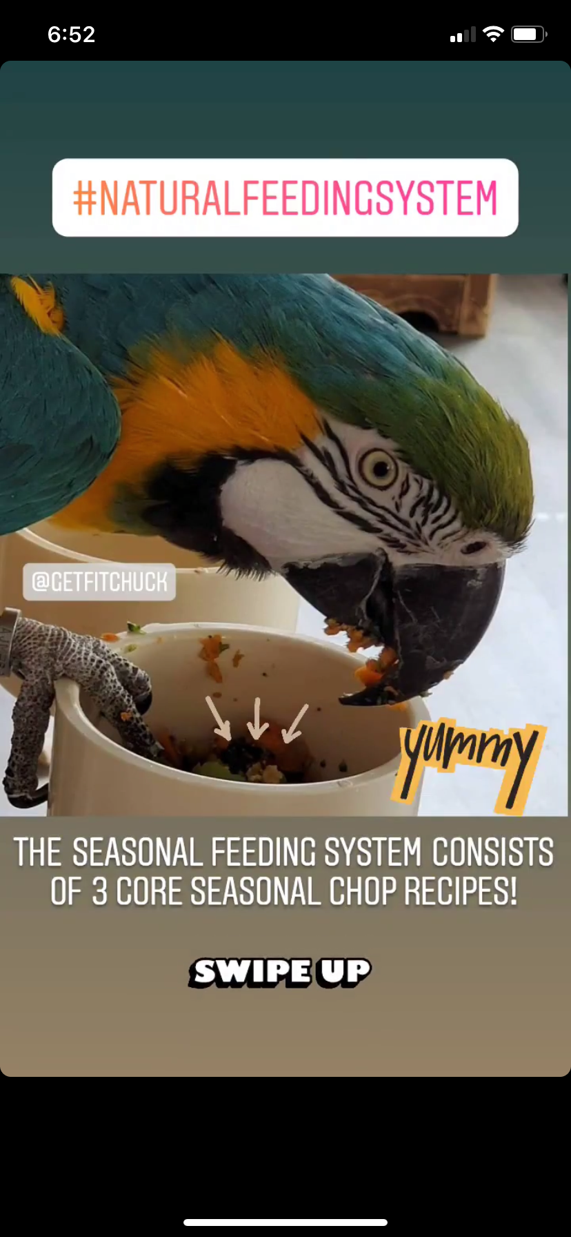 The Parrot Natural Nutrition Course