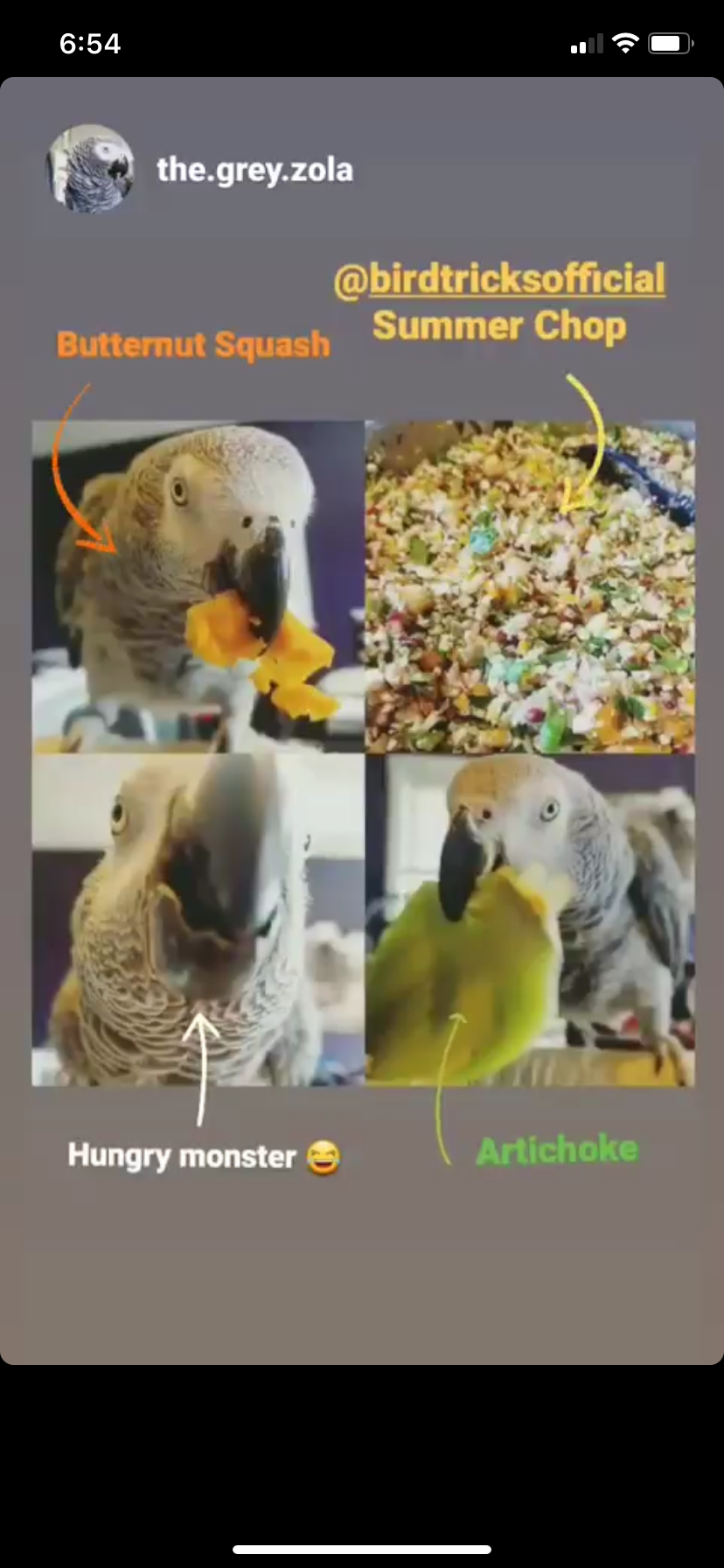 The Parrot Natural Nutrition Course