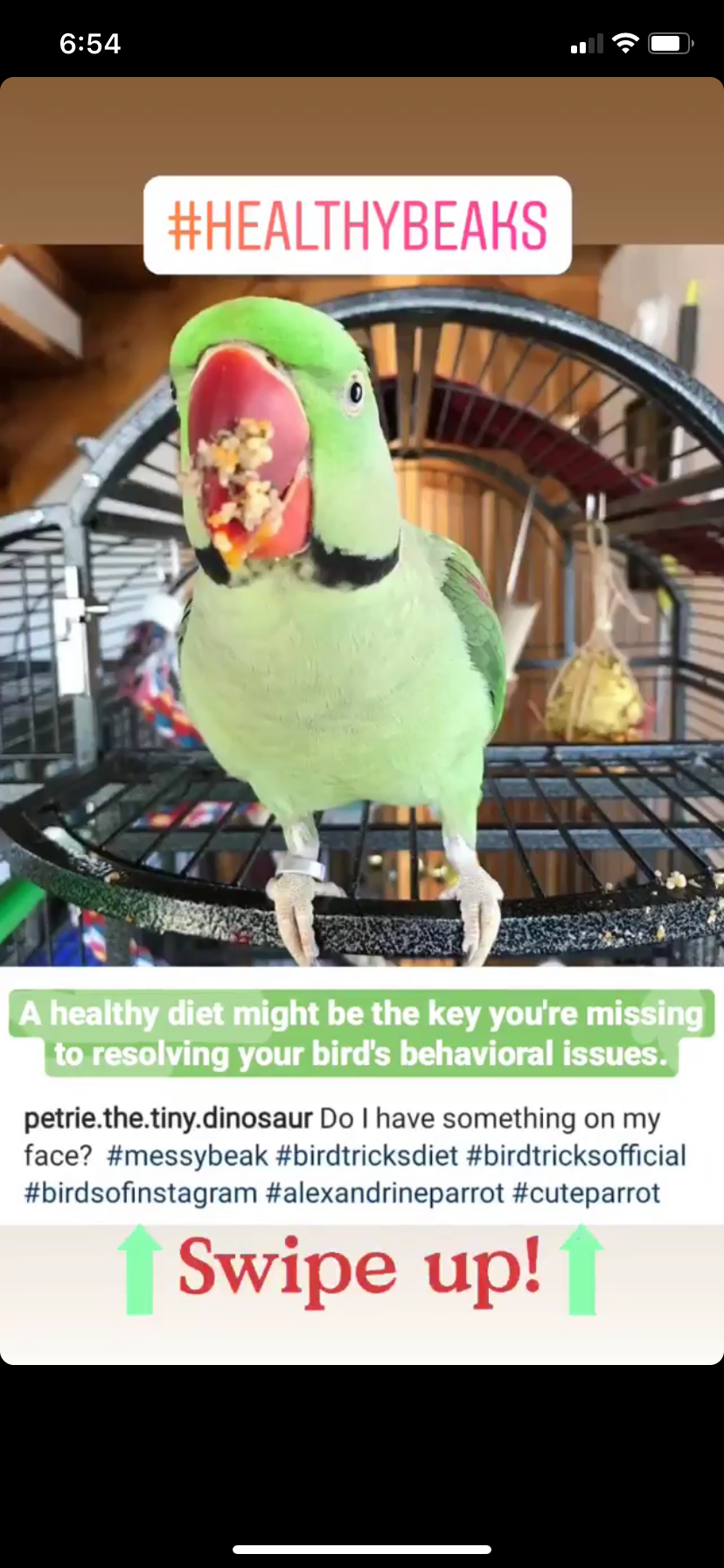 The Parrot Natural Nutrition Course