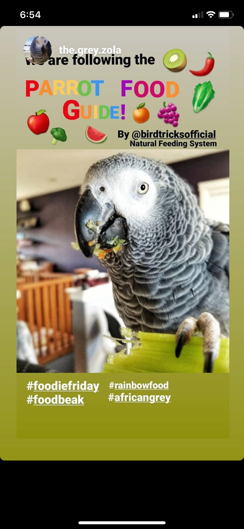 The Parrot Natural Nutrition Course