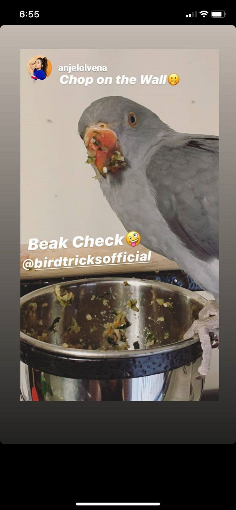 The Parrot Natural Nutrition Course