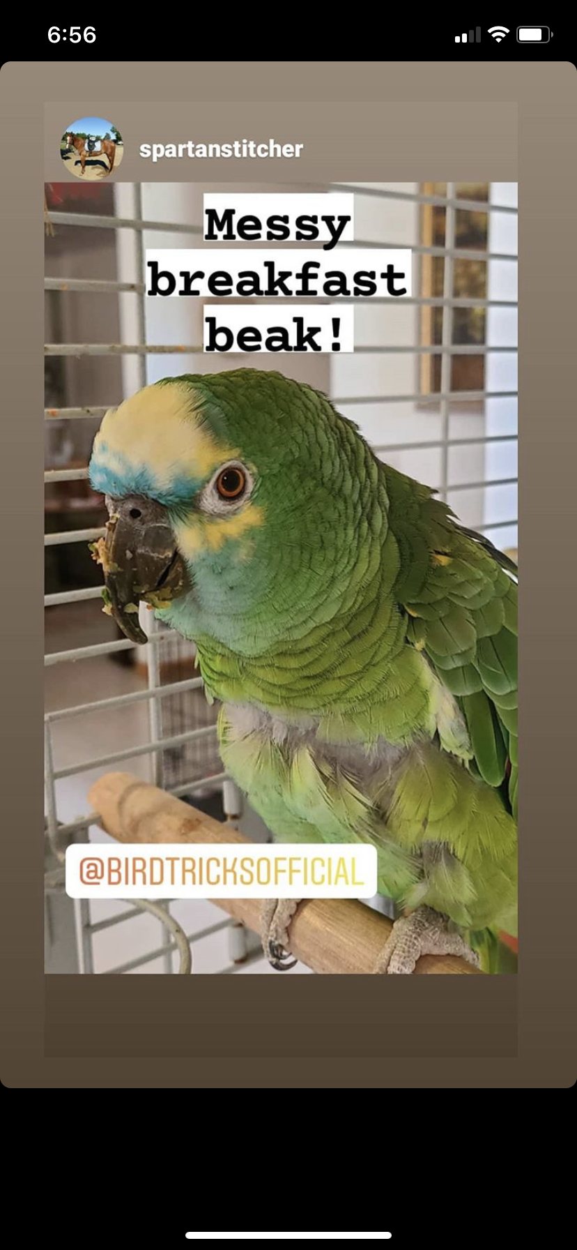 The Parrot Natural Nutrition Course
