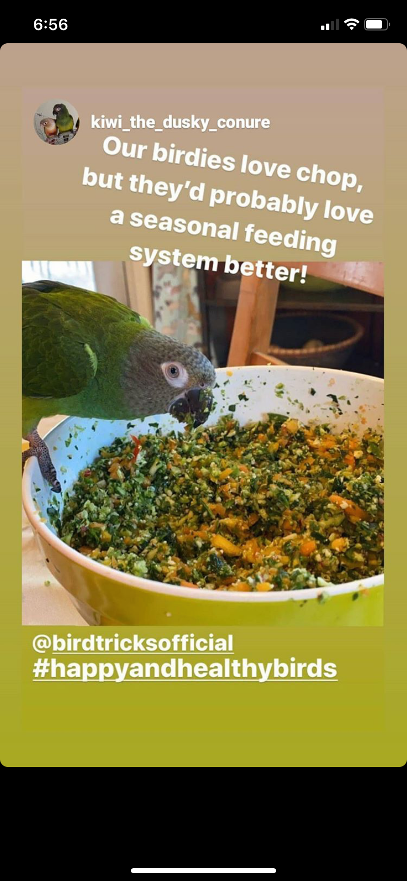The Parrot Natural Nutrition Course