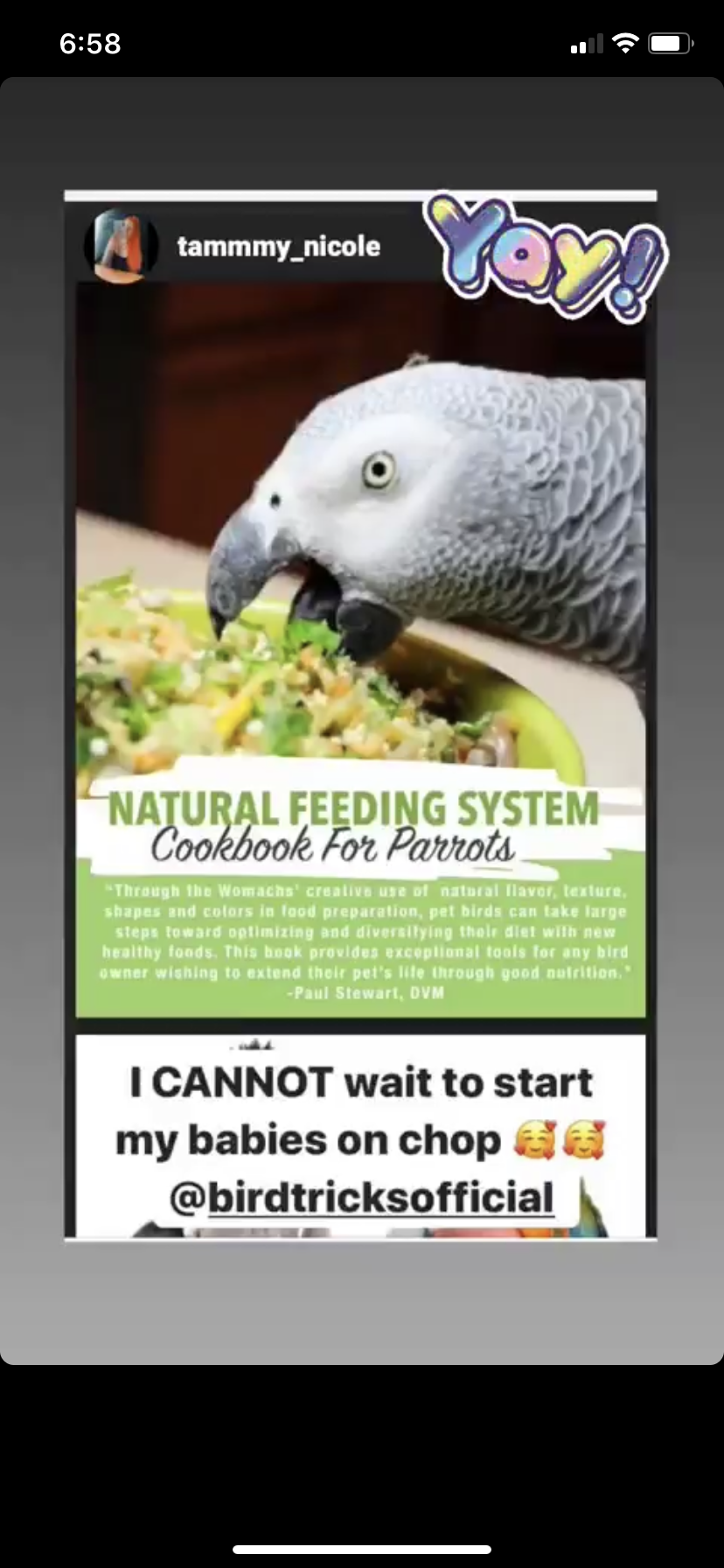 The Parrot Natural Nutrition Course