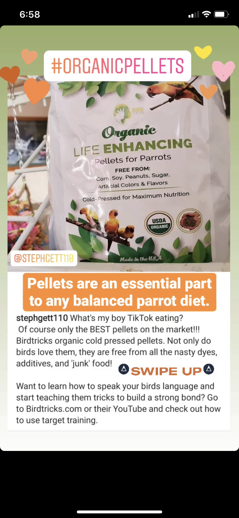 The Parrot Natural Nutrition Course