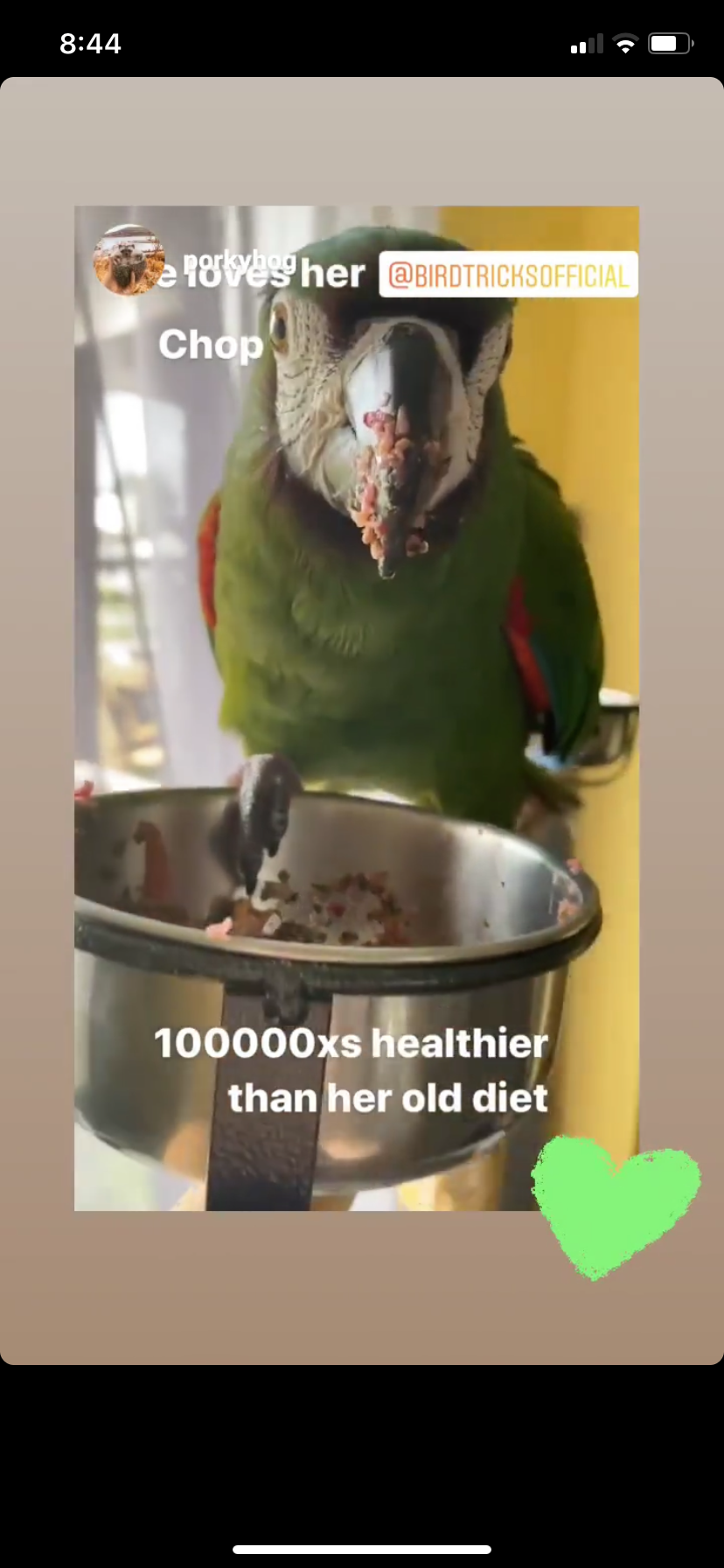 The Parrot Natural Nutrition Course