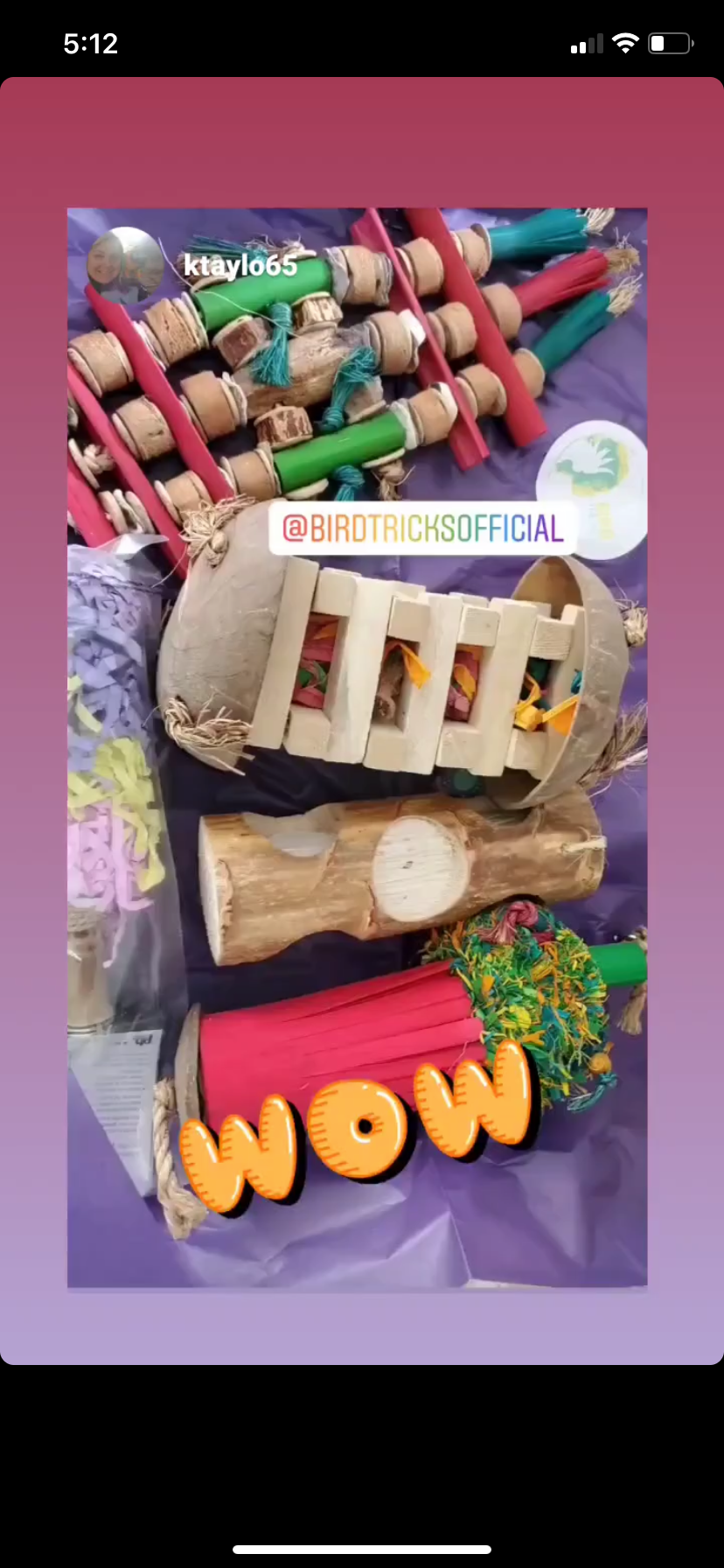 Foraging Toy Box (Bundle of 5)