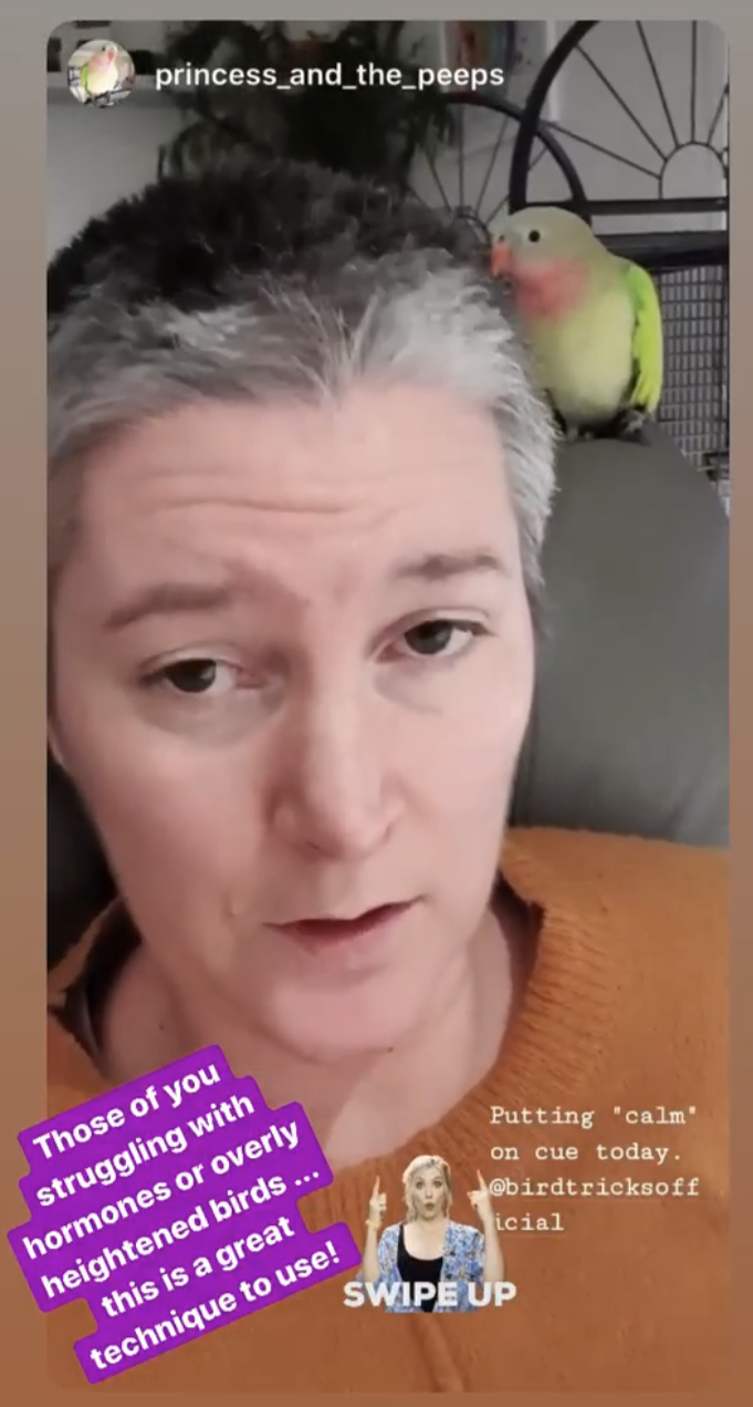Horror-Moans (The Course on Parrot Hormones)