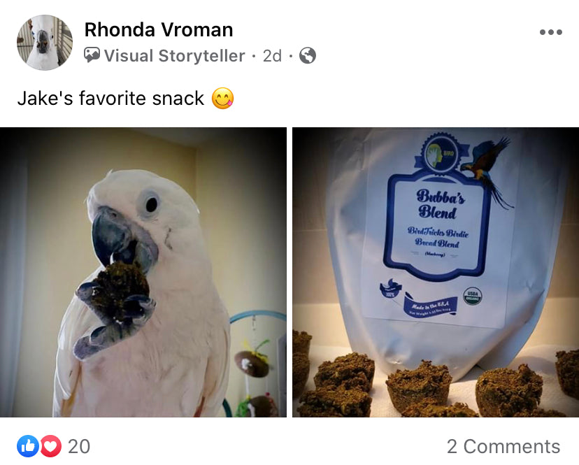 Organic Birdie Bread Bundles