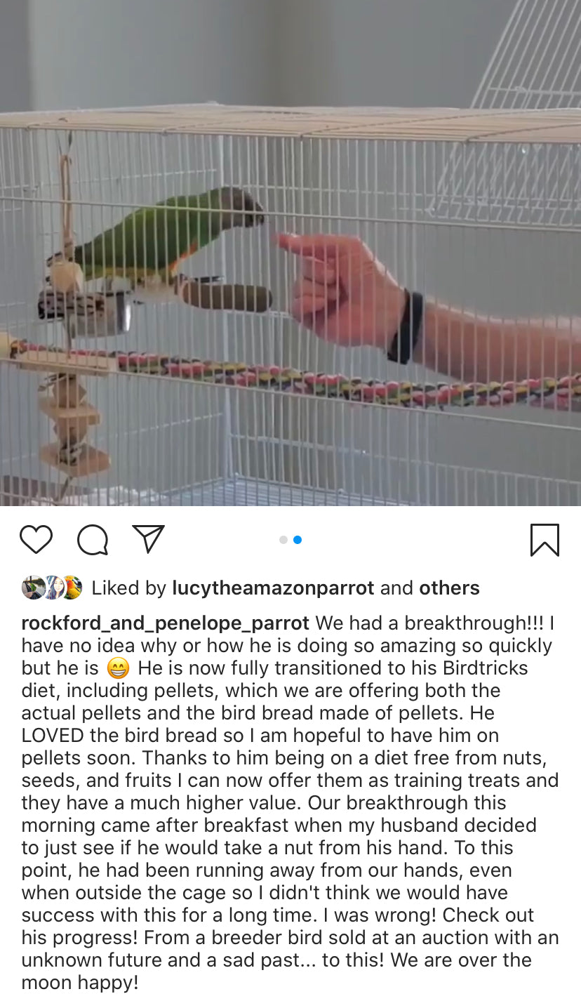 Organic Birdie Bread Bundles