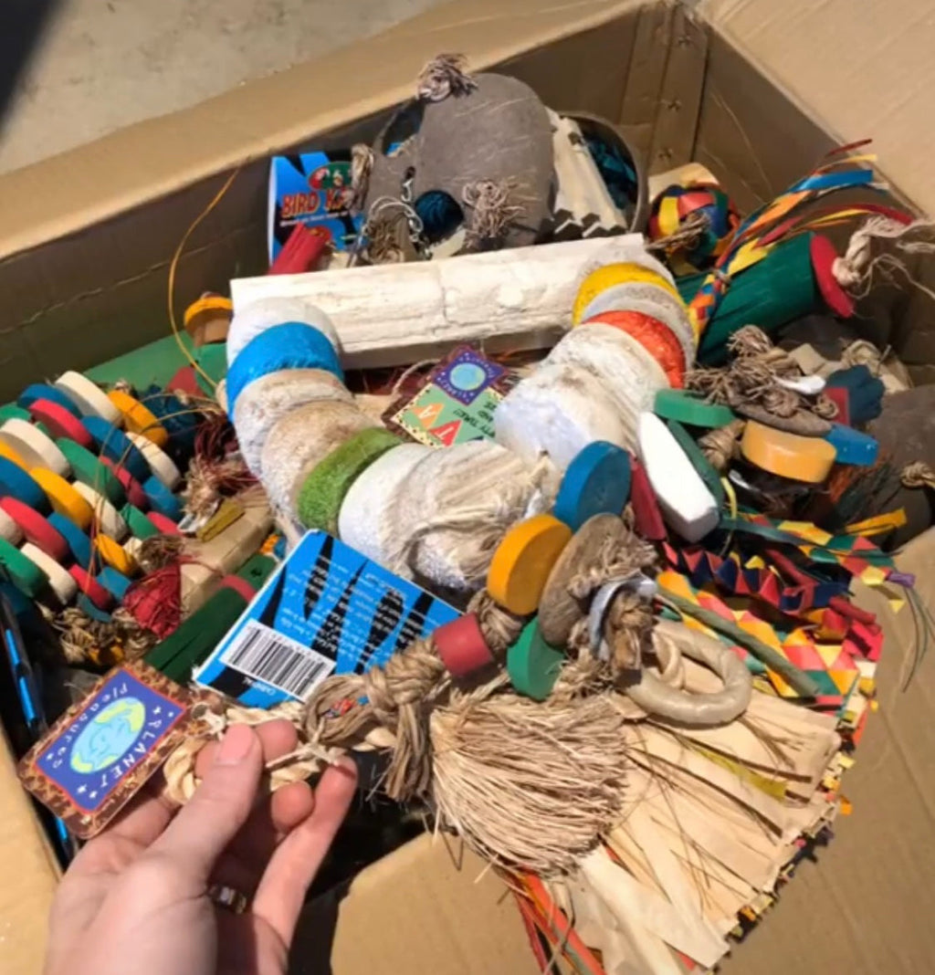 Premium All-Natural Parrot Toys (Bundle of 3)