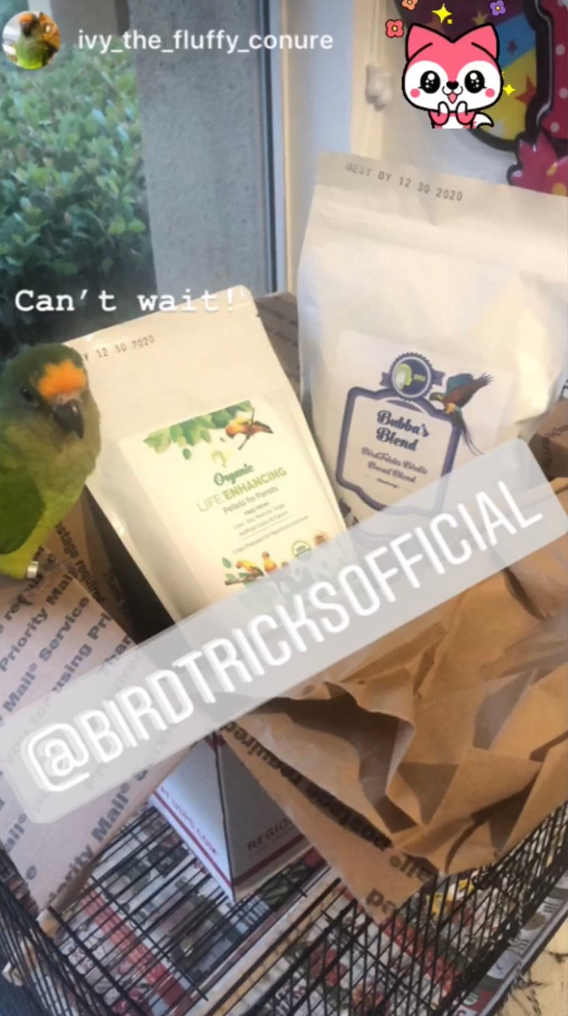 Organic Birdie Bread Bundles