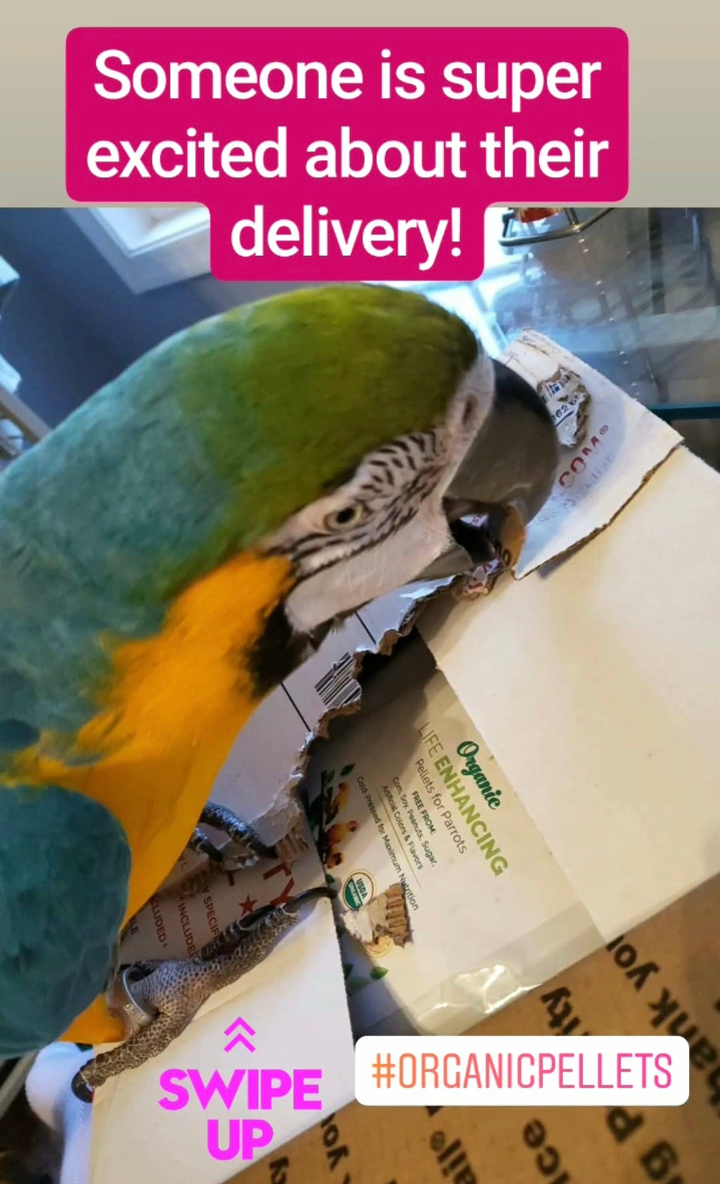 Organic Parrot Pellets (8lbs)