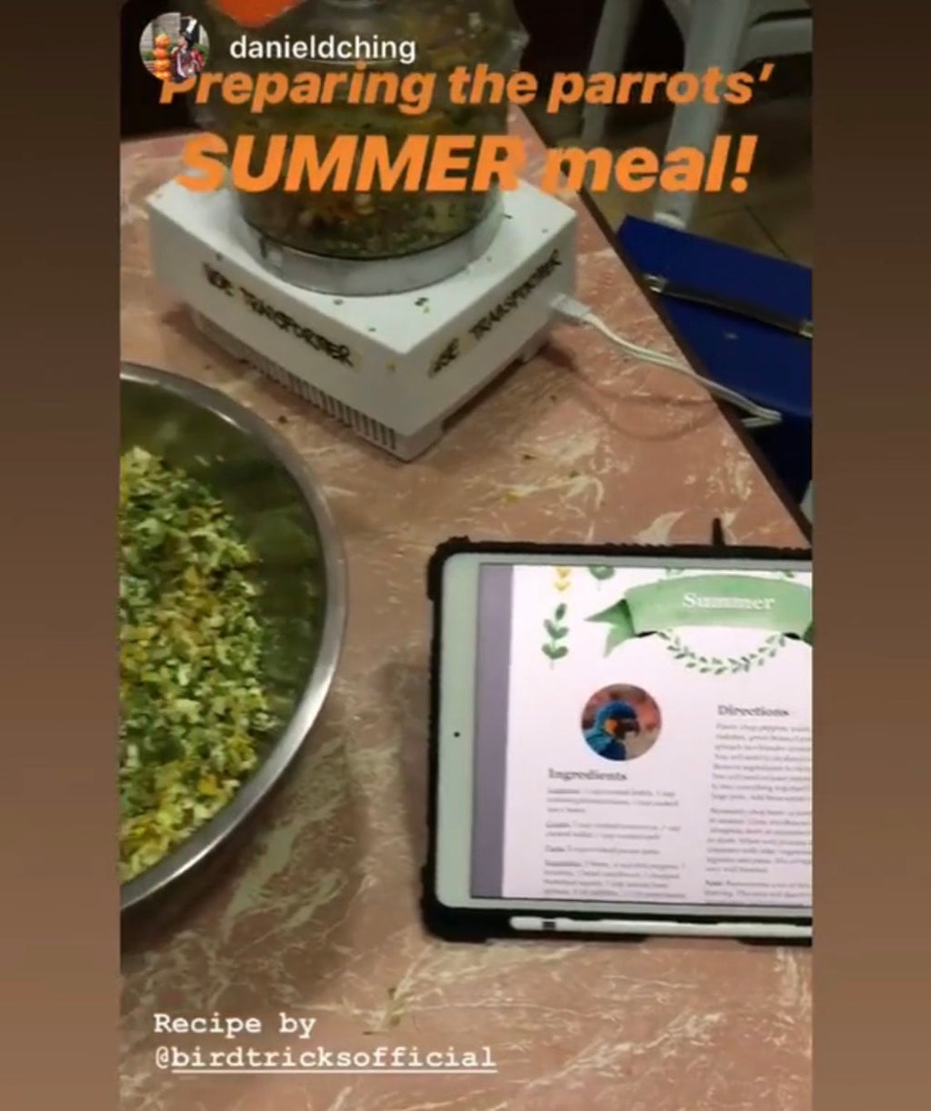 Natural Feeding System (Digital Download)