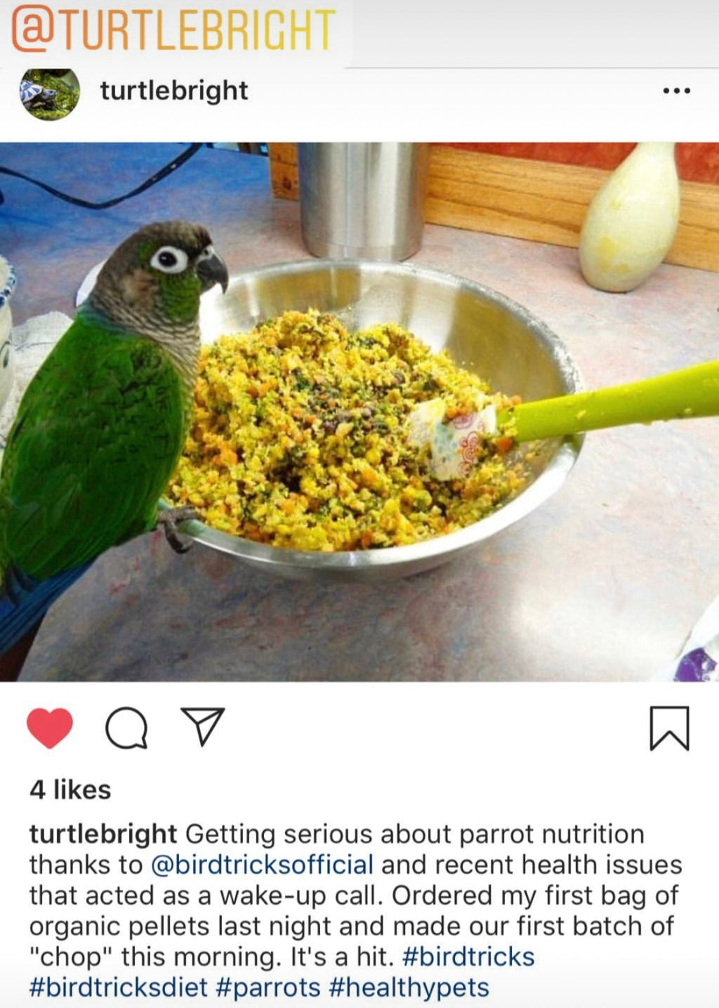 Natural Feeding System (Digital Download)
