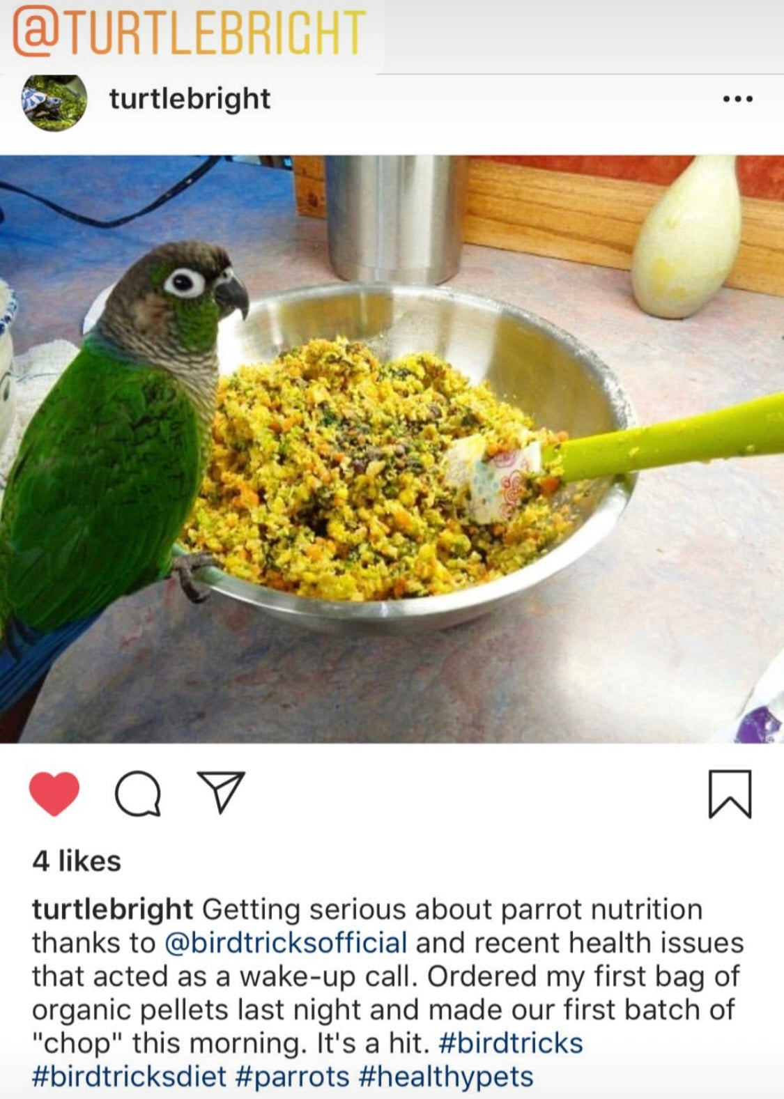 Natural Feeding System (Digital Download)