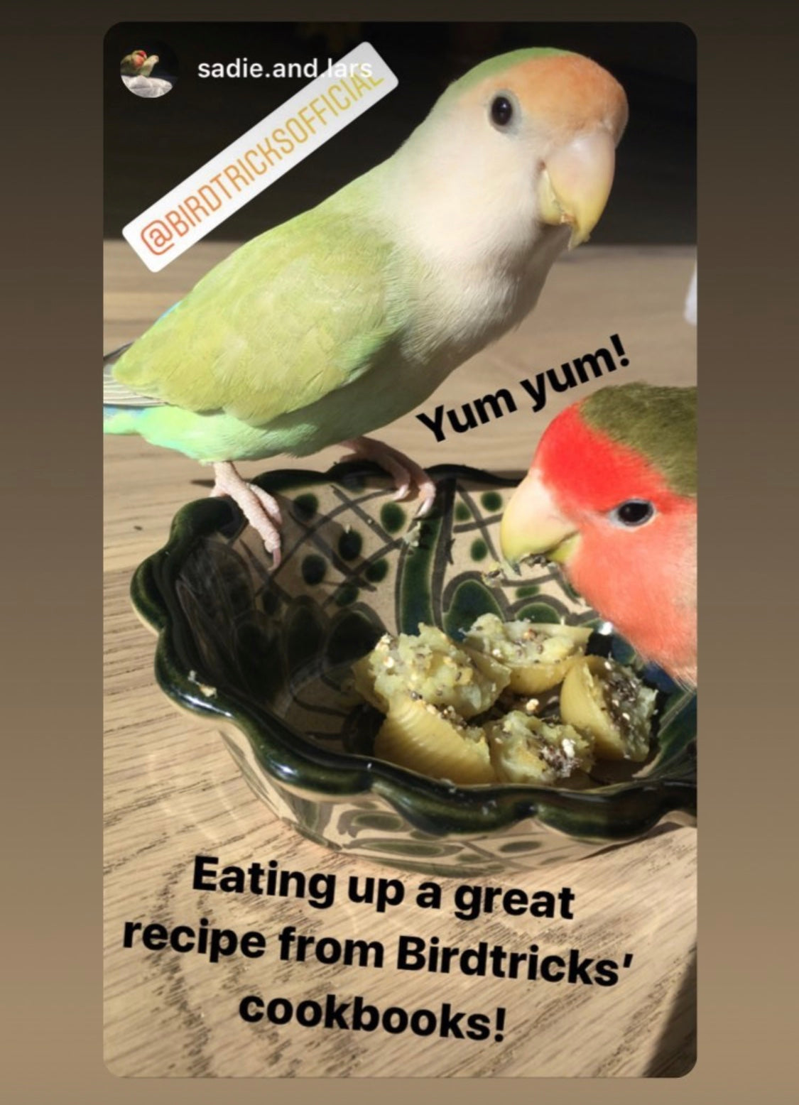 Natural Feeding System (Digital Download)