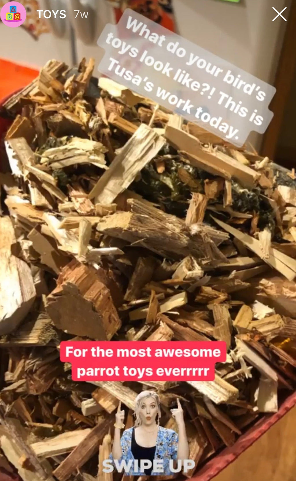 Premium All-Natural Parrot Toys (Bundle of 3)
