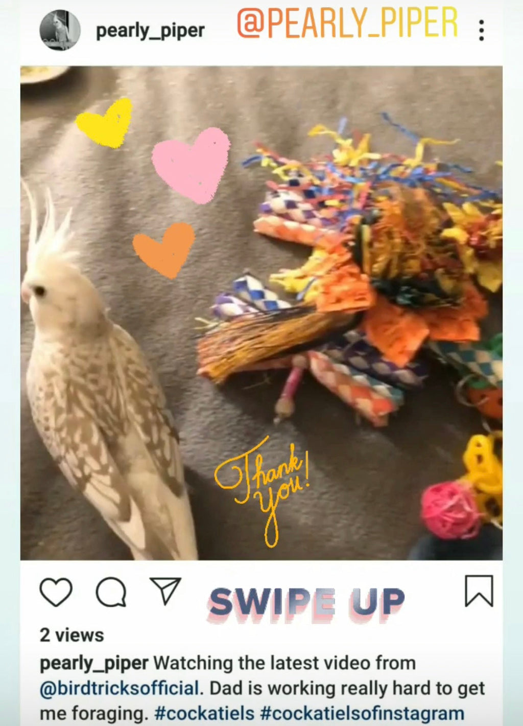 Premium All-Natural Parrot Toys (Bundle of 3)