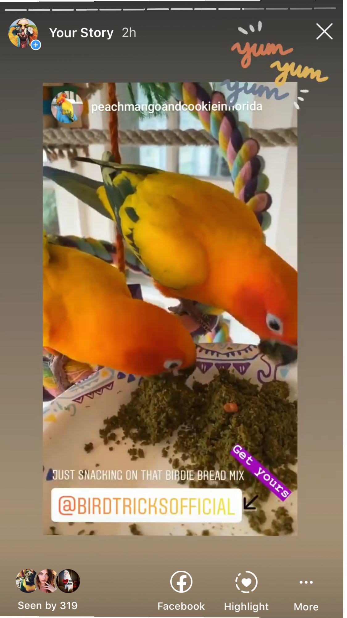 Organic Birdie Bread Bundles