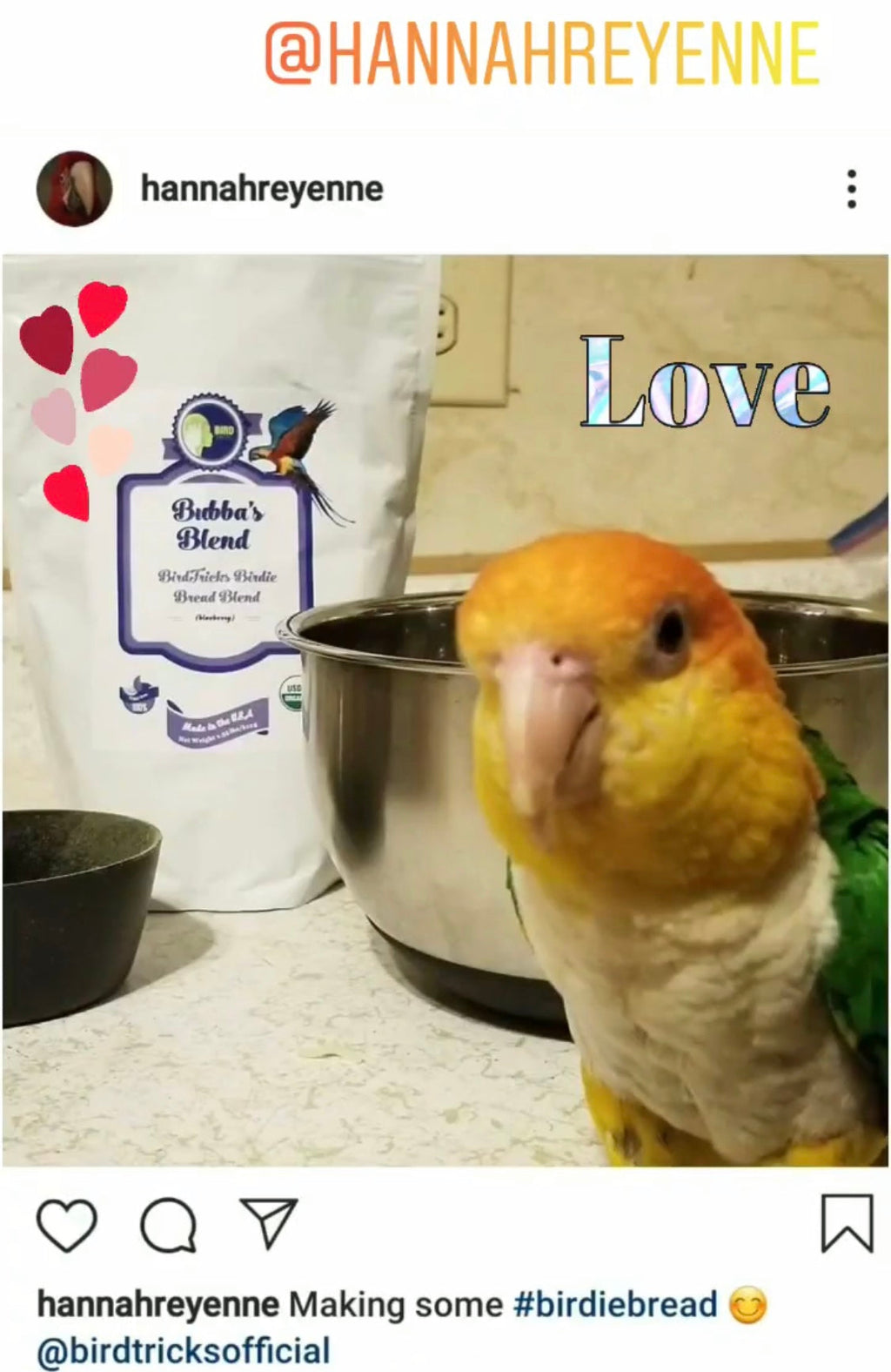 Organic Birdie Bread Bundles
