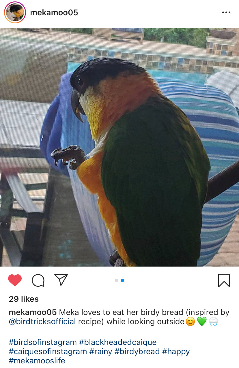 Birdie Bread Baker's Guide