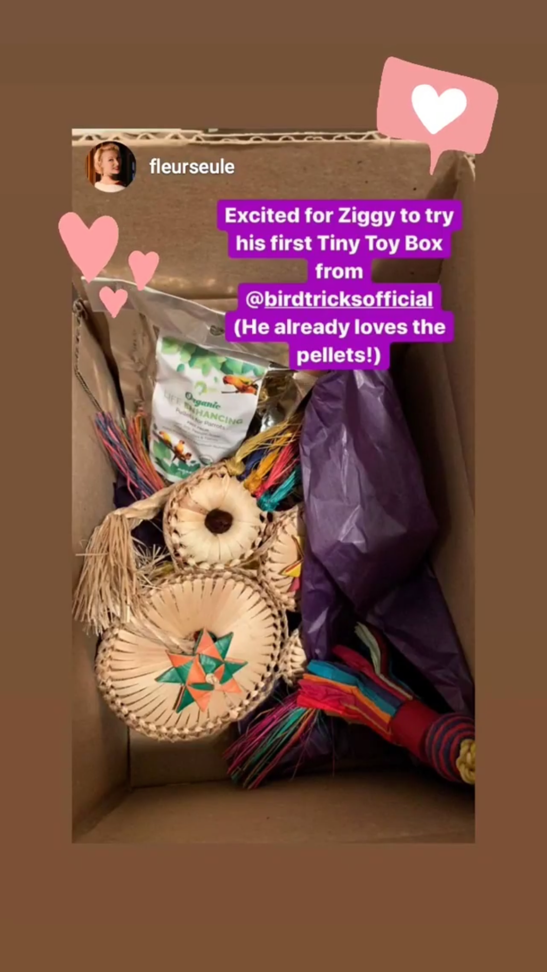 Premium All-Natural Parrot Toys (Bundle of 3)