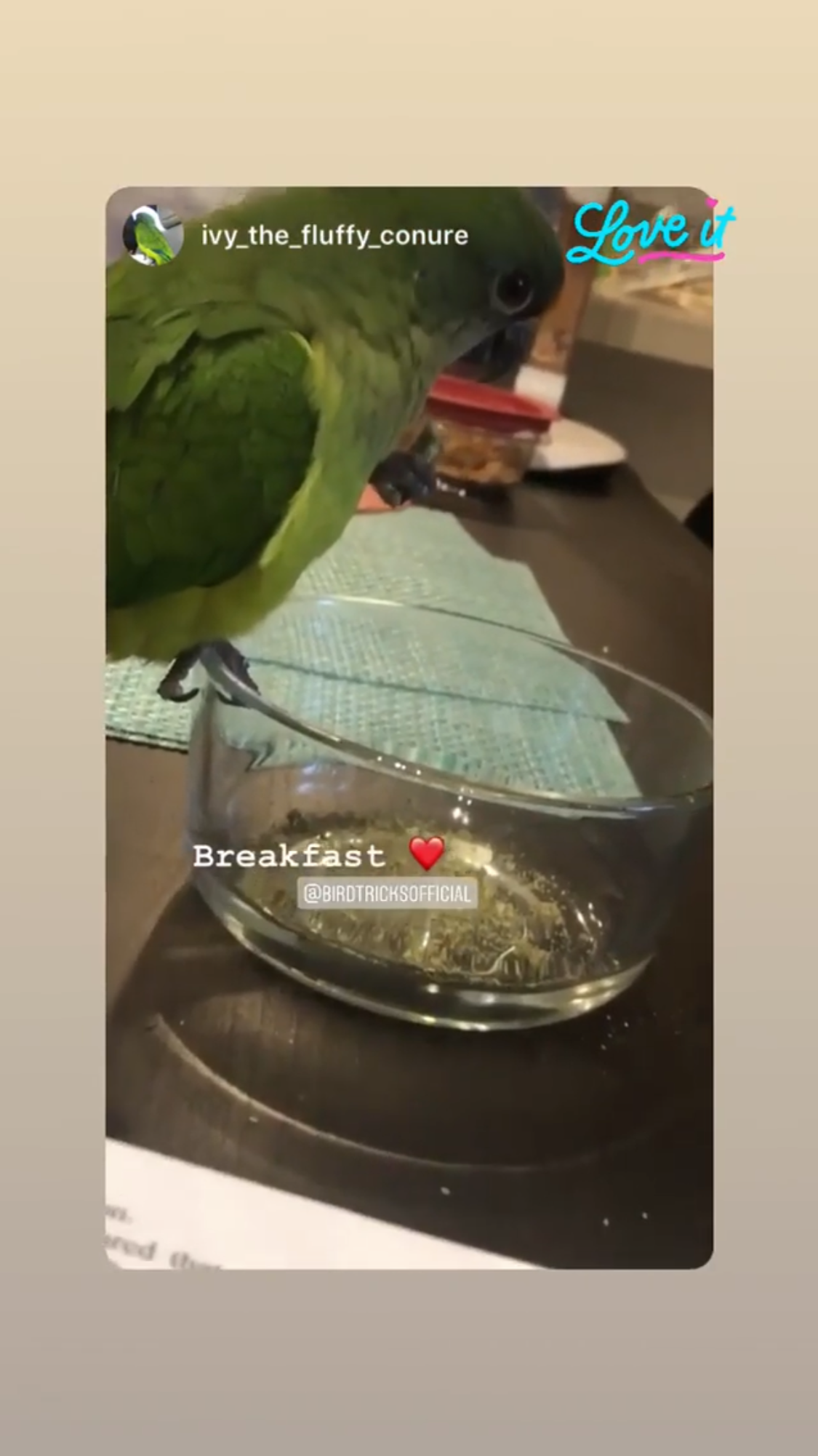 Organic Parrot Pellets (8lbs)