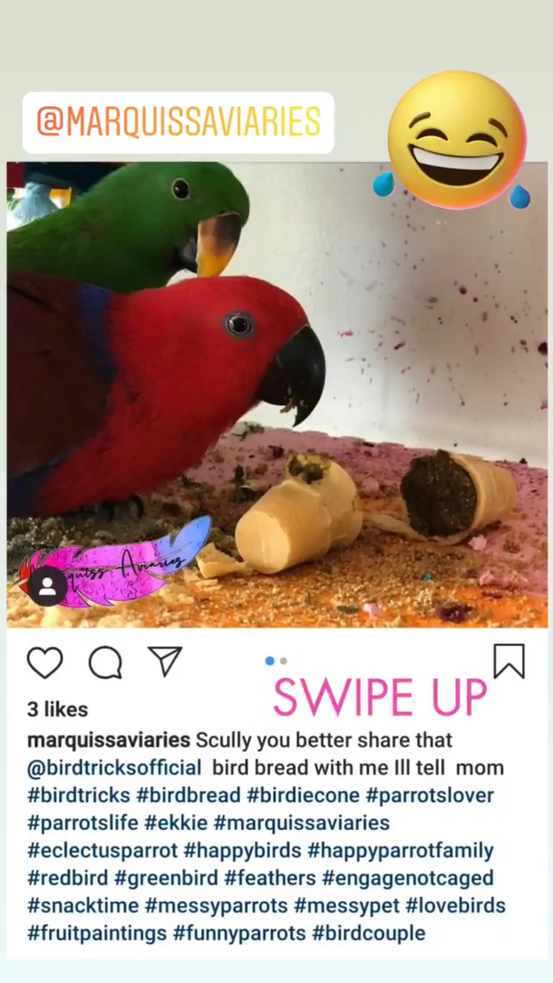 Organic Birdie Bread Bundles