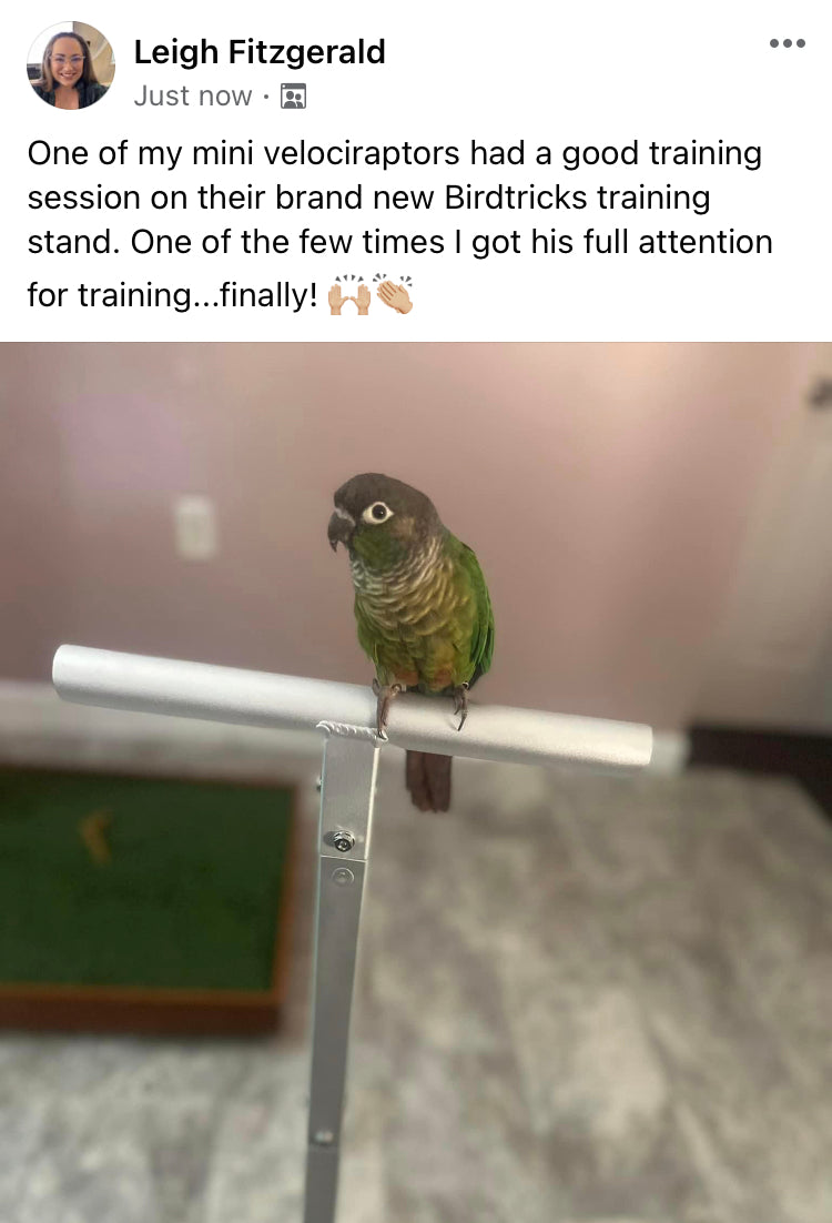 Training Stand