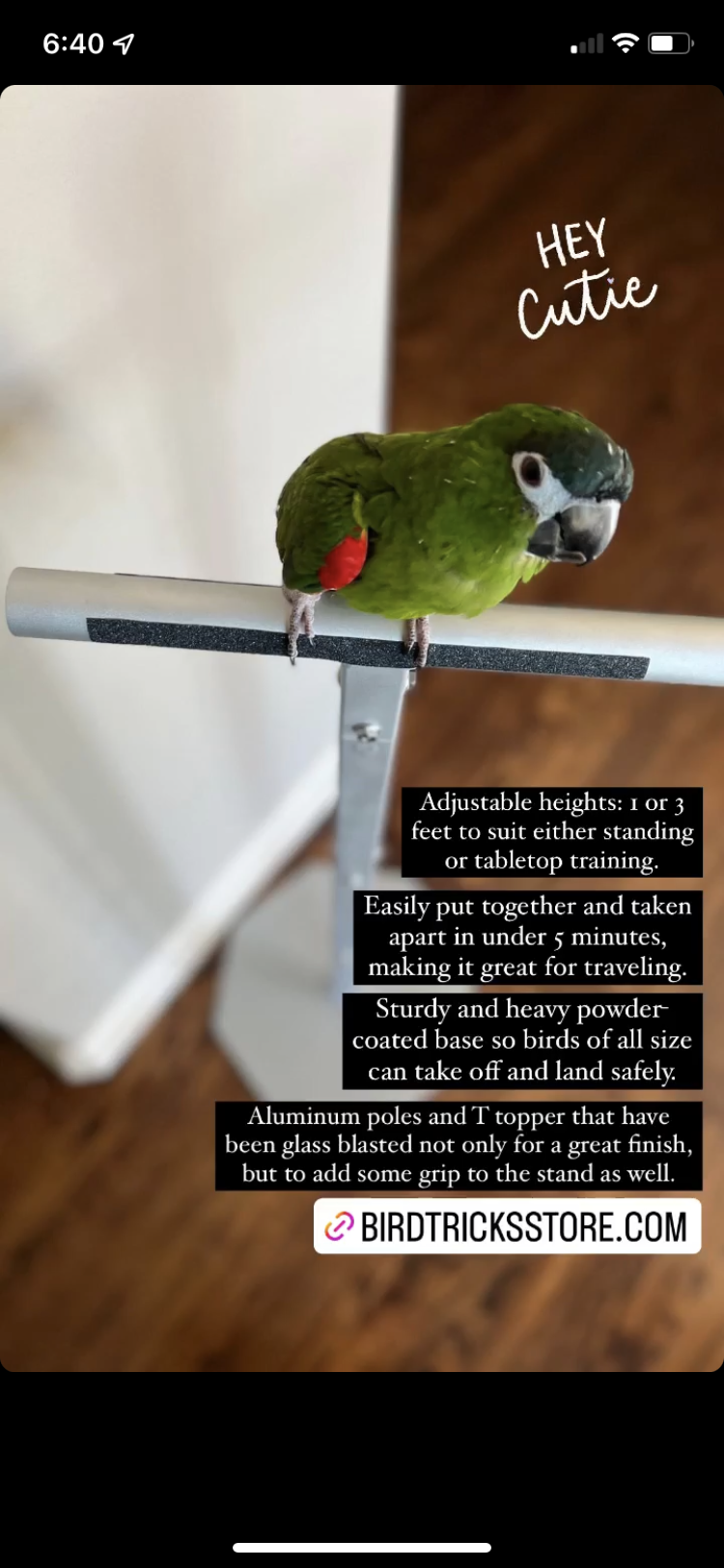 Training Stand